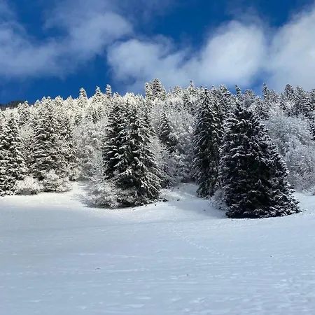 Διαμέρισμα 4 Person Loggia With Parking *