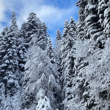Appartamento 4 Person Loggia With Parking